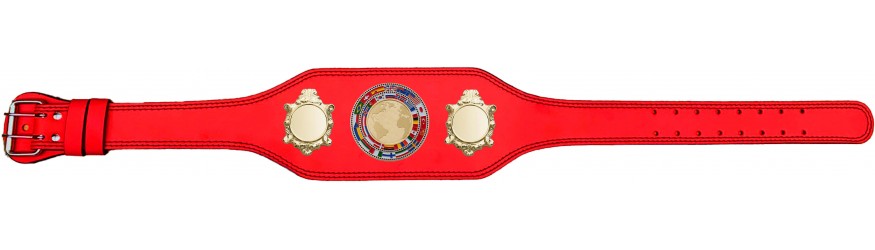 CHAMPIONSHIP BELT - BUD003/G/FLAGG - AVAILABLE IN 4 COLOURS CHAMPIONSHIP BELT - BUD003/G/FLAGG - AVAILABLE IN 4 COLOURS